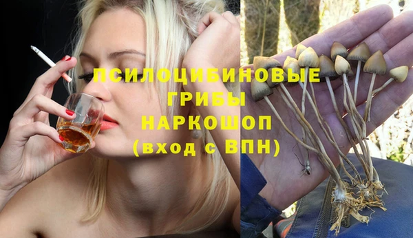 МДПВ Абинск