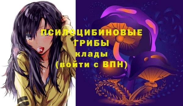 МДПВ Абинск