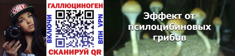 Галлюциногенные грибы мухоморы  Чита 